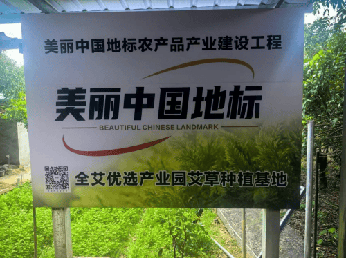 千年罗浮艾韵扬全艾优选荣膺 “美丽中国地标农产品”